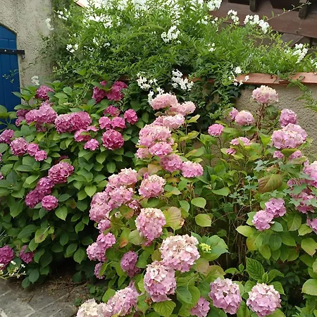 D'hote Jasse Perdrix Panzió